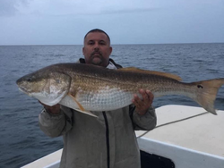 Big Reds: Morehead City's Redfish Paradise!